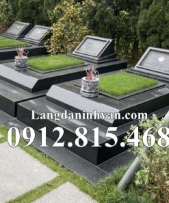 Mẫu mộ đôi đá hoa cương, granite đẹp bán tại Lạng Sơn - Chụp mộ đá hoa cương tại Lạng Sơn